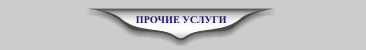 ПРОЧИЕ УСЛУГИ